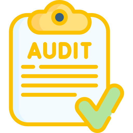 Audit